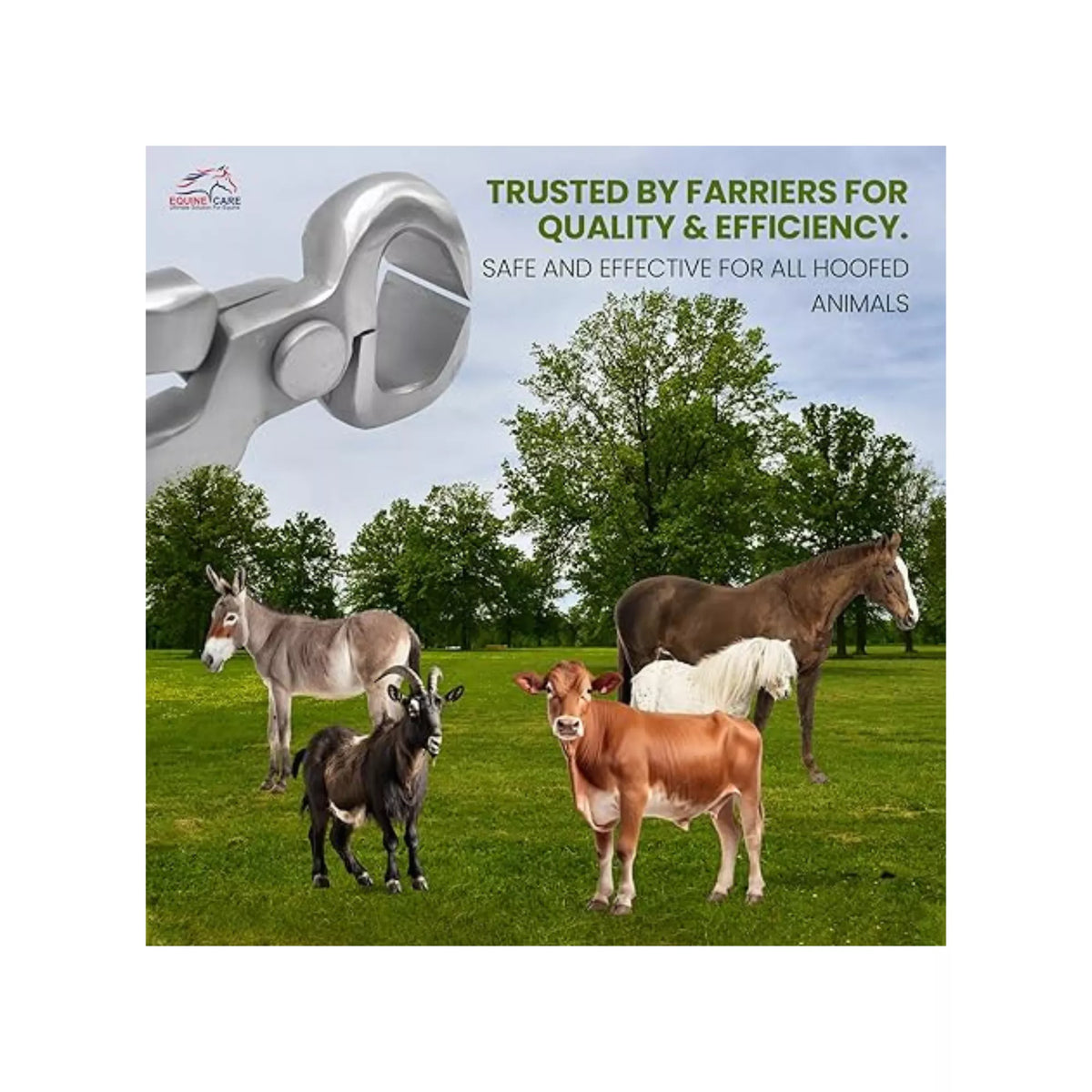 Equine Care Spring Loaded Hoof Nipper Tool - 10″ & 12″ Farrier Nippers